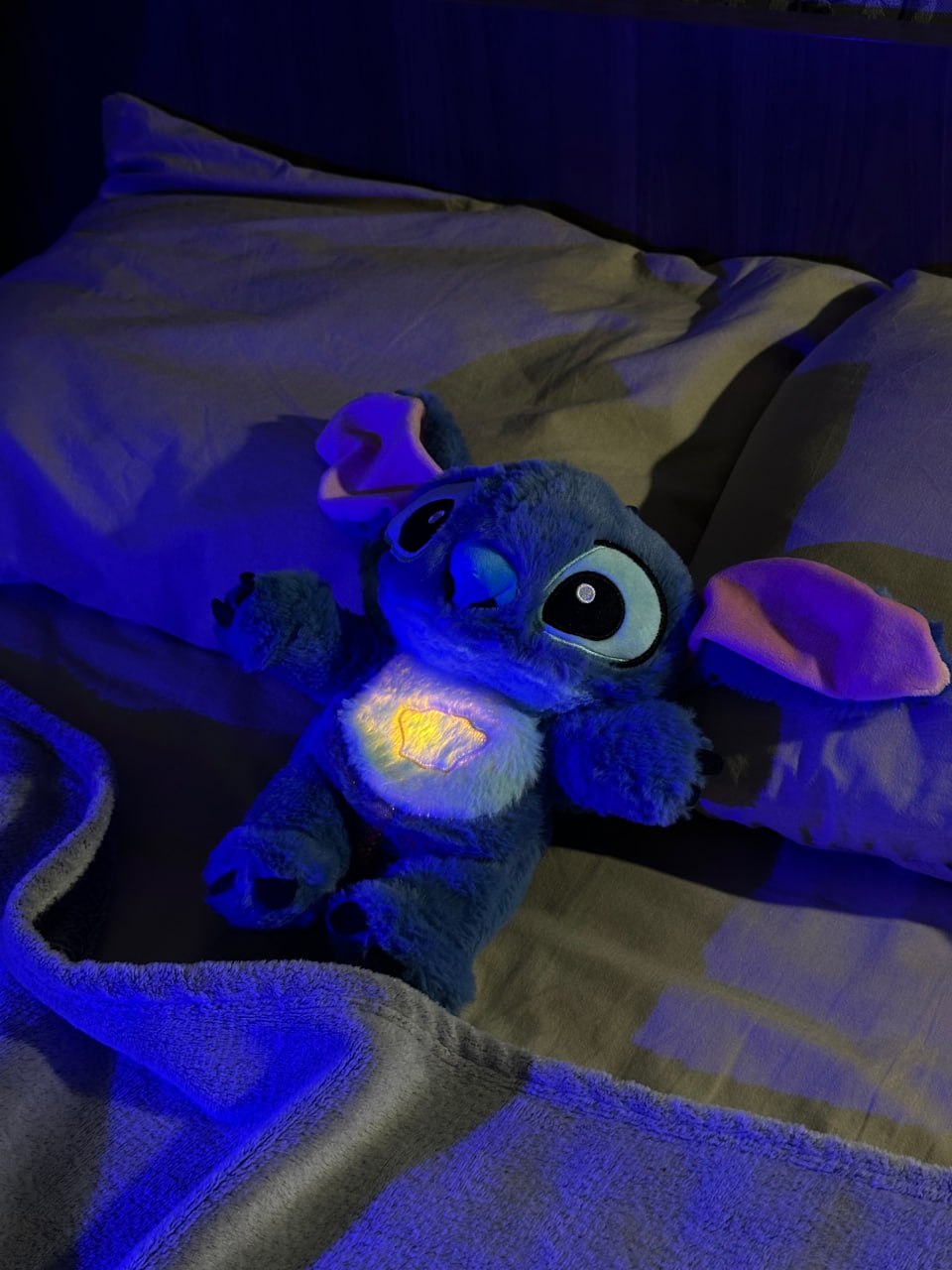 Stitch Heated Toy